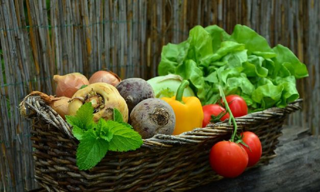 FORT OSAGE SCHOOL DISTRICT’S FARM TO FORT PROGRAM BRINGS FRESH PRODUCE TO STUDENTS