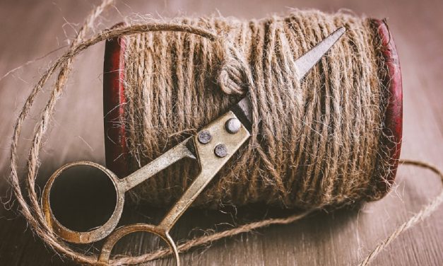 HEMP TO MAKE COMEBACK