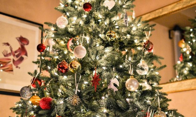 PUT A FREEZE ON WINTER HOLIDAY DECORATIONS