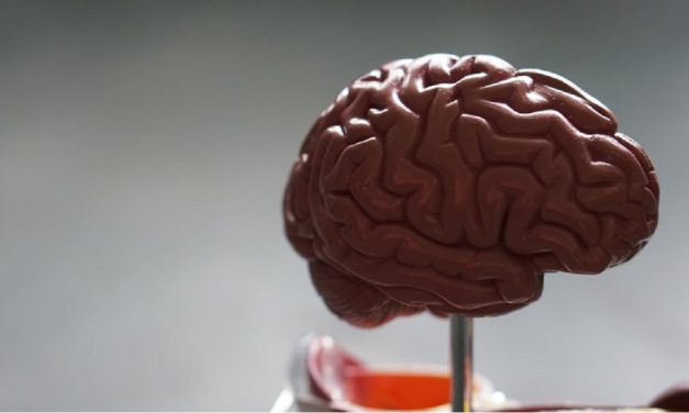 CTE: Inconvenient Truth or Hype?