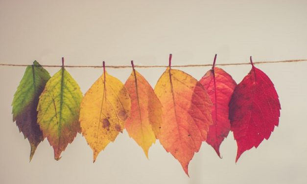Fall Family Fun Events