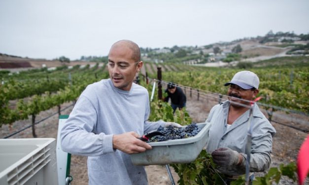 HELPING THE HANDS THAT HELP FEED US