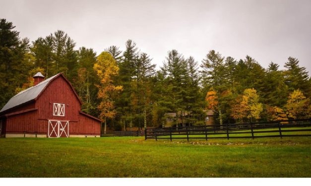 McCorkendale Farms: It’s a Family Affair