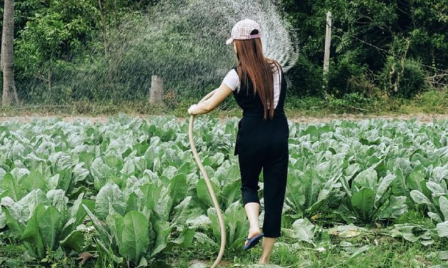 Land of the Feminine