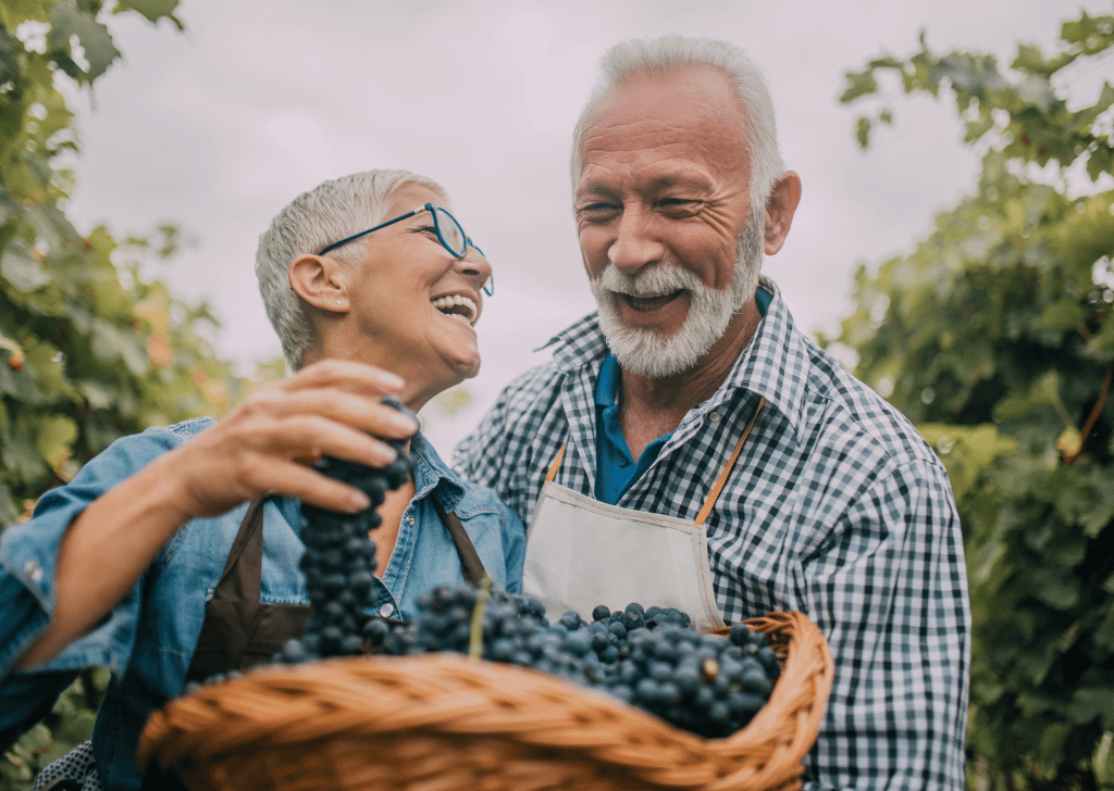 Happy senior people with fruit basket