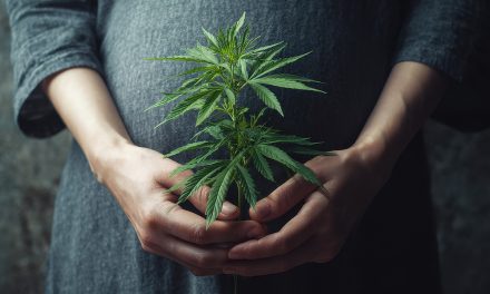 Marijuana Use During Pregnancy Discouraged, Impact Remains Unknown
