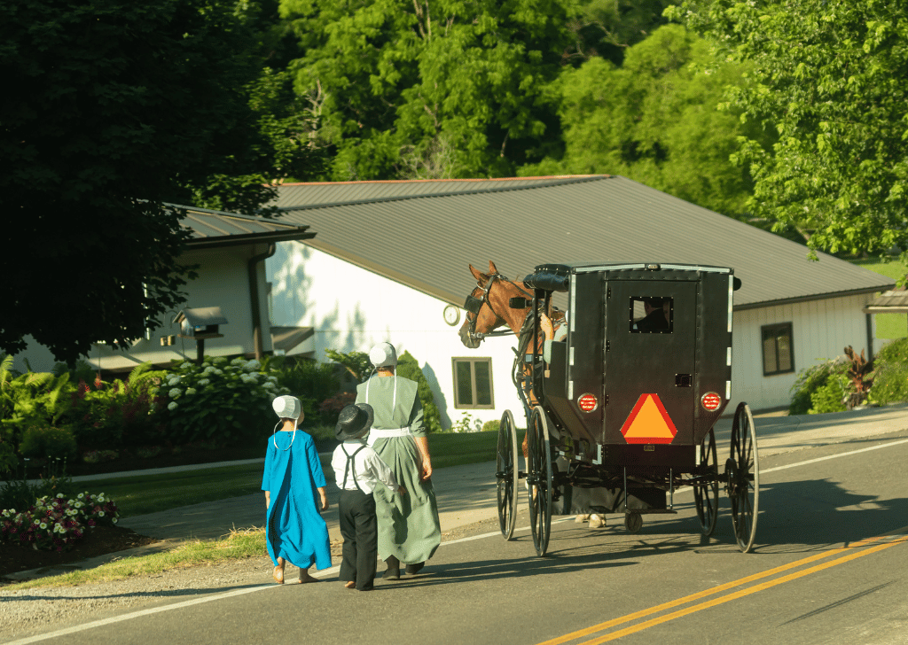 Amish family walking beside a family in a buggy